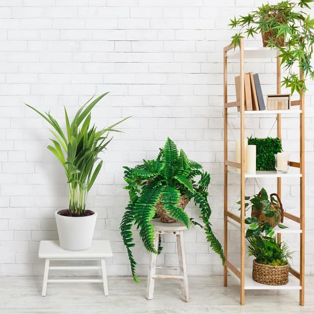 Detalle de Relaxdays sgabello poggiapiedi in bambù fino a 100 kg, bianco (20 x 33 x 21,5 cm)