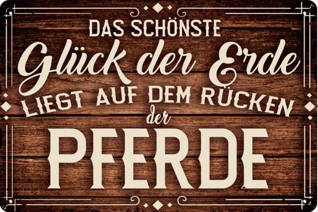 Imagen de LUCKYLINDE ALU DIBOND Blechschild 30×20 cm 🪧 en OfertitasTOP