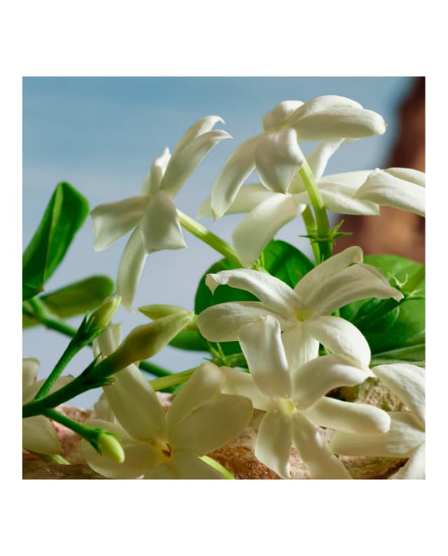 Thumbnail 4 de Dolce & Gabbana Q Eau de Parfum 100 ml