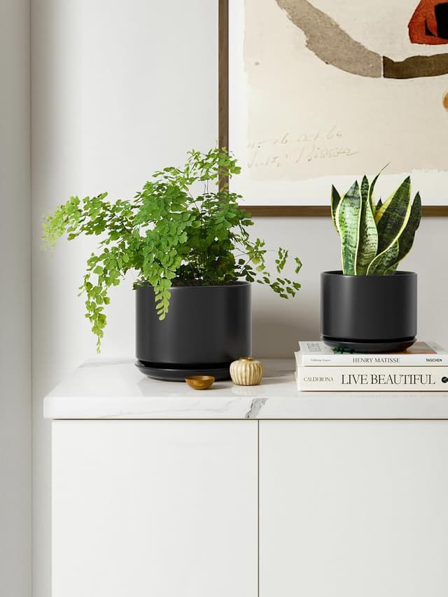 Thumbnail 5 de LE TAUCI 17 cm Ceramic Plant Pot