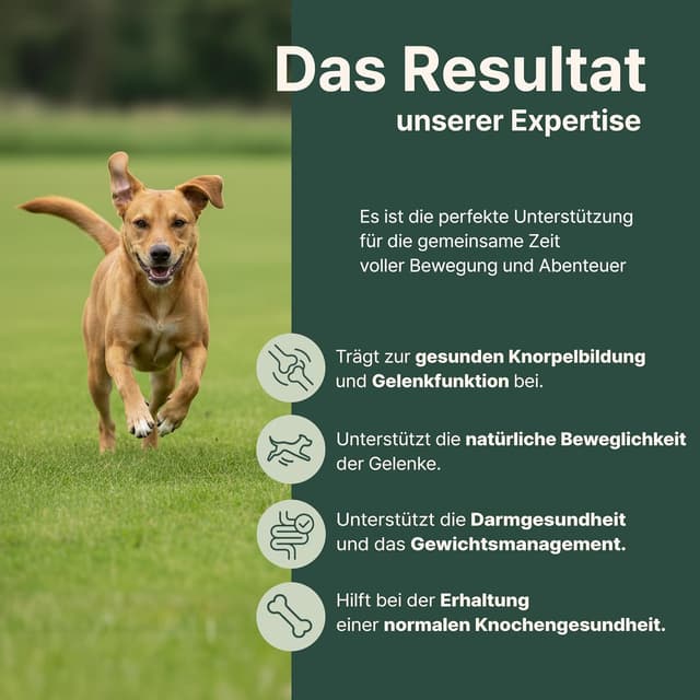 Detalle 2 de Gelenktabletten Hund 90 Stück für bis zu 6 Monate