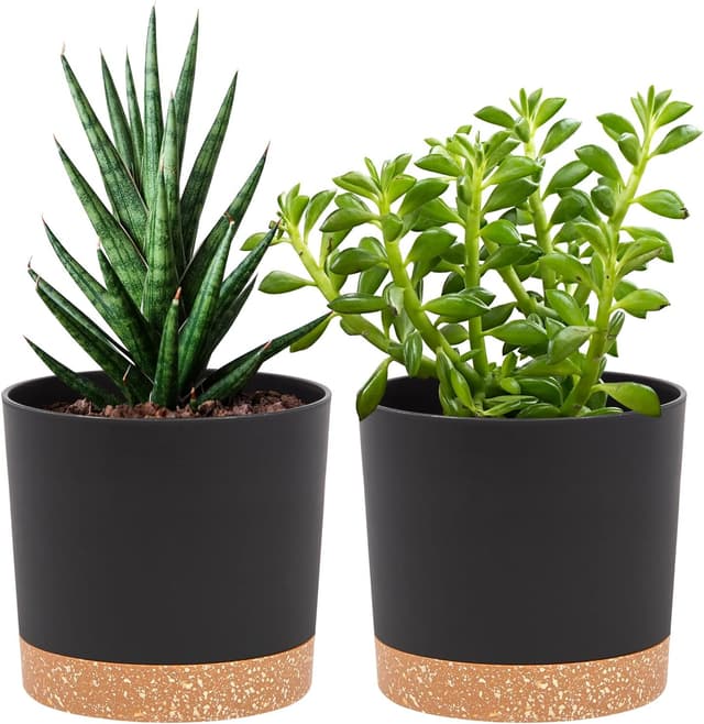 Detalle de QCQHDU 12.7cm Plant Pots, 2 Pack