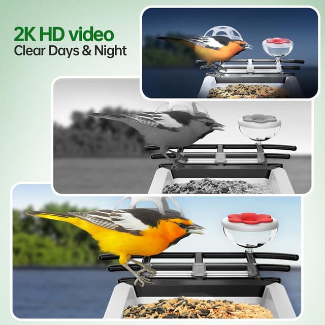 Detalle 2 de HD 2K Smart Bird Feeder Camera