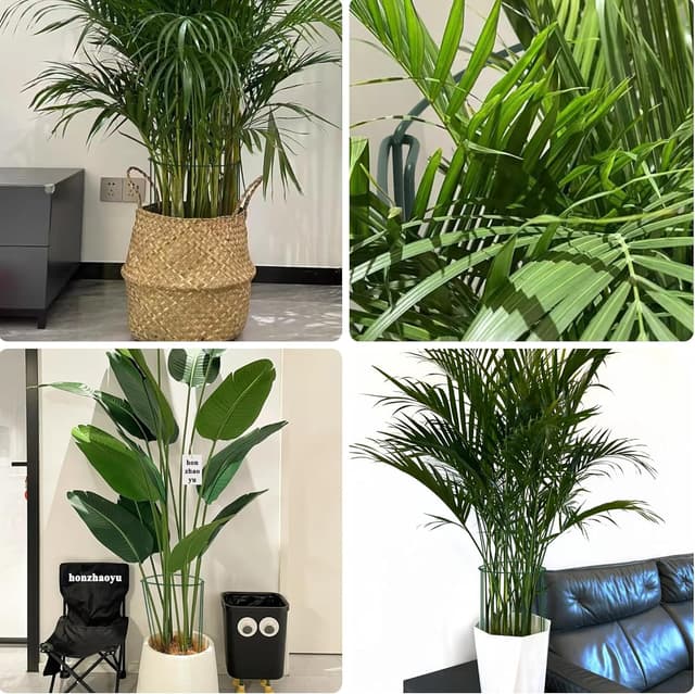 Thumbnail 3 de Metall Ringkäfige 3er-Set 40x25 cm Pflanzensupport