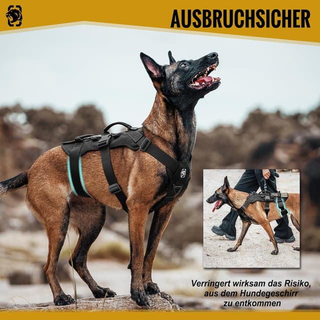Detalle de OneTigris Hundegeschirr T-Bone mit 2 Griffen, ausbruchsicher & einstellbar (Schwarz, S)