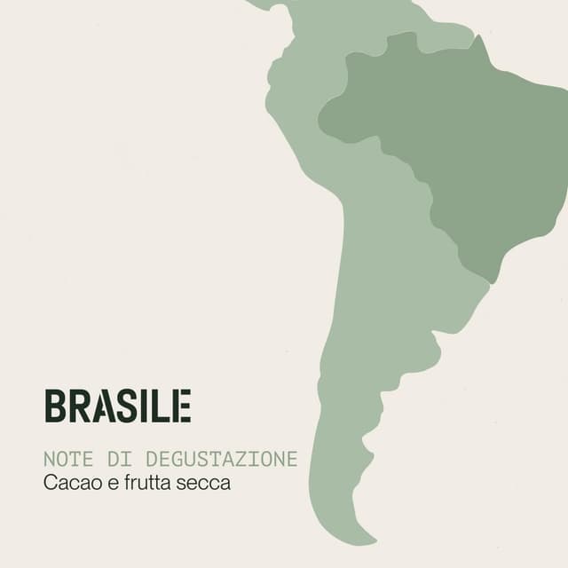 Detalle de Incapto Caffè in grani di specialità 1 kg (Brasile, 100% Arabica) | Tostatura naturale