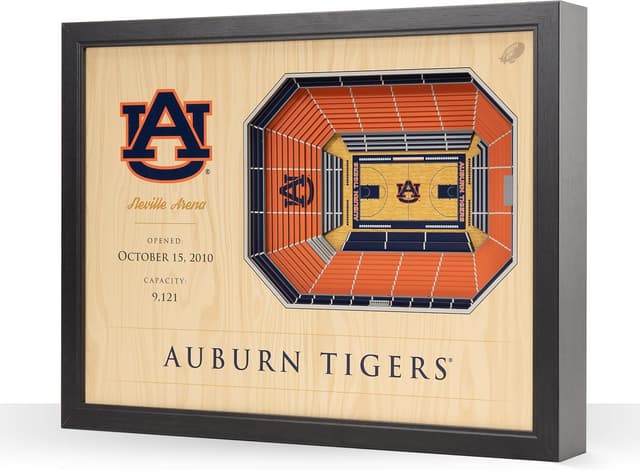 Detalle de YouTheFan NCAA 25-Layer StadiumView Wall Art (25.5 x 19.5 in)