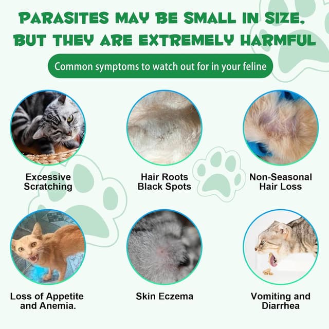 Thumbnail 4 de Darmverteidigung für Katzen 60 ml 🐱