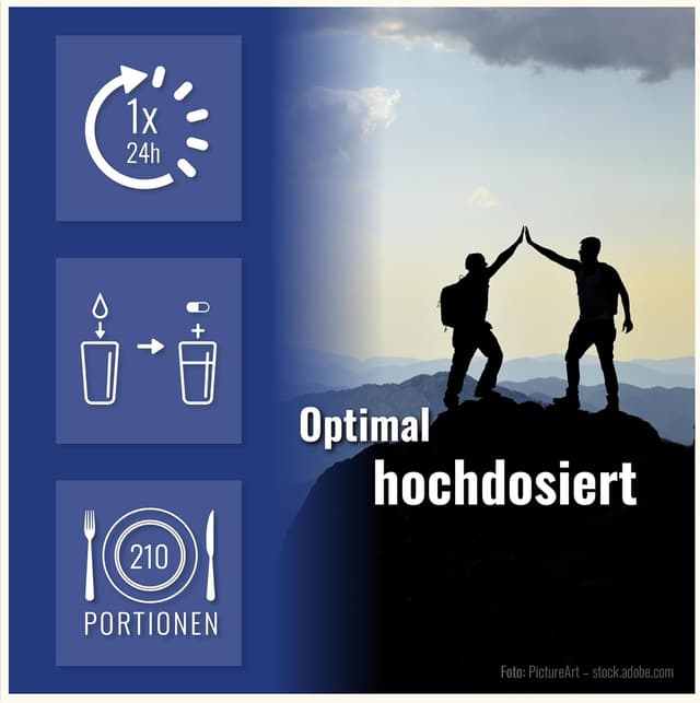 Detalle 2 de L-Glutamin Kapseln (210 Kapseln) mit 750 mg pro Tagesdosis – vegan