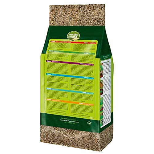 Thumbnail 1 de Flower - Semillas de Césped Rústico 🌱, Ideal para Jardines y Campos