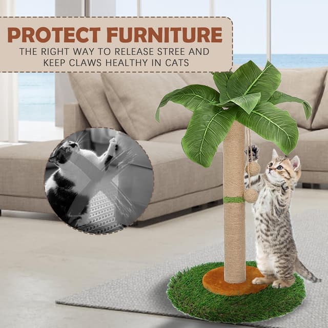 Thumbnail 3 de HOMYHANDS 60cm Cat Scratching Post
