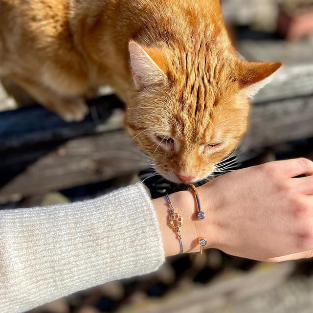 Detalle 2 de Selfmade Jewelry Armband Damen Roségold „Pfote“ – größenverstellbares Makramee mit Geschenkverpackung