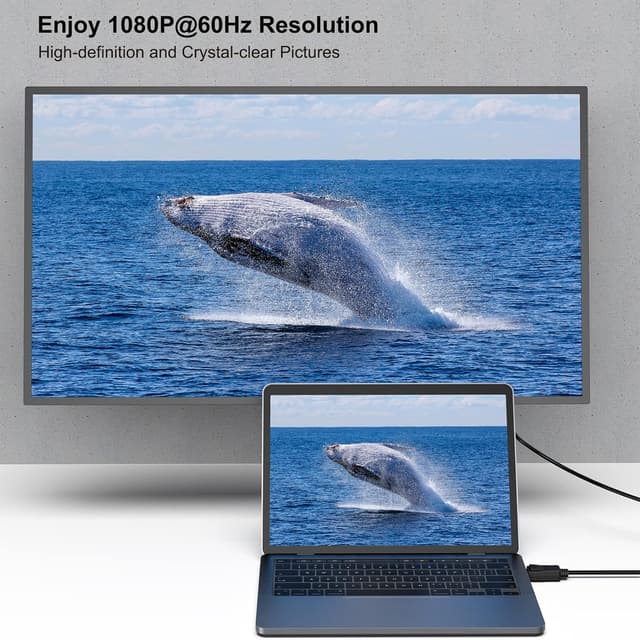 Detalle 2 de BENFEI Cable DisplayPort a DVI 1,8m Pack de 2