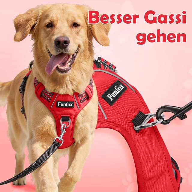 Thumbnail 2 de Funfox Hundegeschirr M für mittelgroße Hunde
