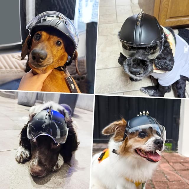 Thumbnail 4 de PETLESO Hundehelm Hundebrille UV-Schutz