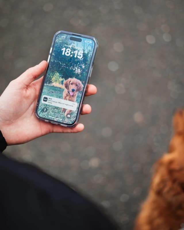 Thumbnail 9 de Bold Elite Smart Lock SX45 65/45 mm 🔐