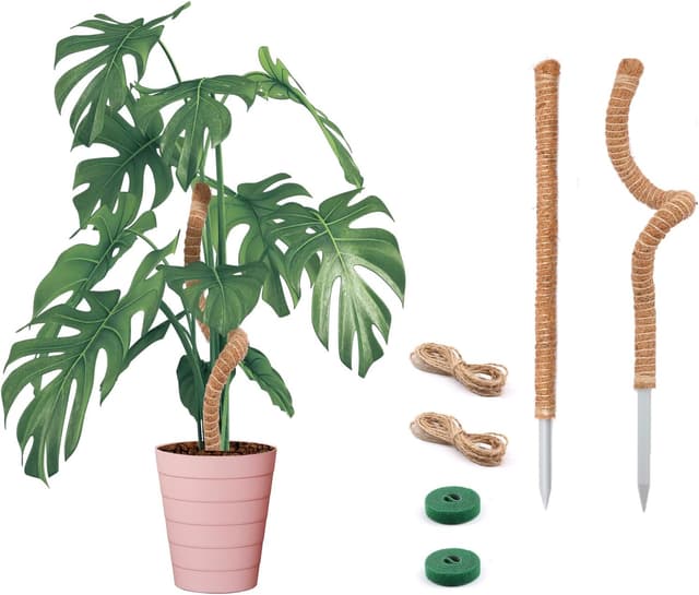 Thumbnail 6 de Bendable Moss Pole for Plants (Monstera) – Bendable Coco Coir Plant Support Stakes, 2 Pack (25 in/48 in)