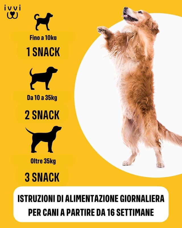Thumbnail 6 de IVVI Hip & Joint compresse altamente concentrate per articolazioni del cane in snack con cozza dalle labbra verdi, glucosamina, condroitina e MSM