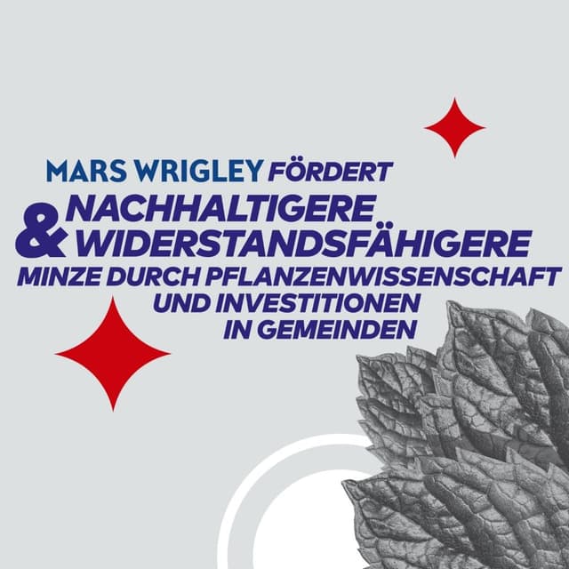 Thumbnail 4 de Extra White zuckerfreier Kaugummi 300 Stk 🍬