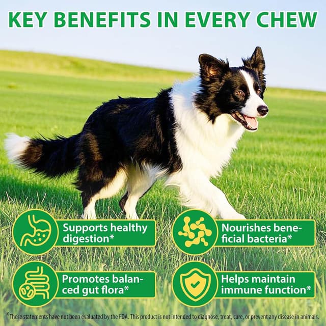 Thumbnail 3 de Probiotics for Dogs 120 masticabili per cani