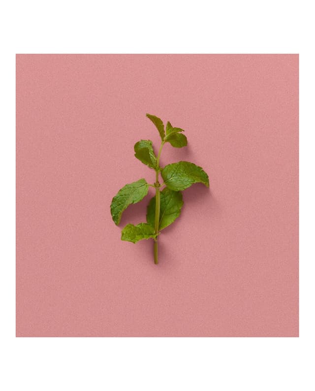 Thumbnail 3 de Gucci The Alchemist's Garden A Gloaming Night 100 ml