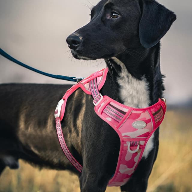 Thumbnail 6 de Auroth Tactical Anti Pull Dog Harness Adjustable Breathable Dog Vest, Size L (Pink Camo)