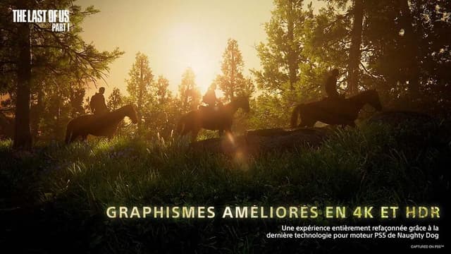 Detalle de The Last of Us sur PS5 (version physique avec CD) – 1 joueur, PEGI 18, en français