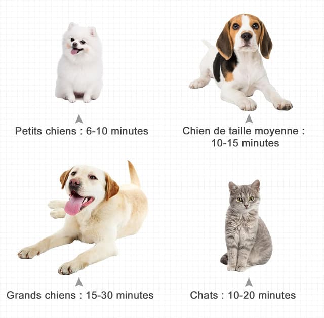 Thumbnail 4 de HOMCOM PawHut 2800 W sèche-poils professionnel