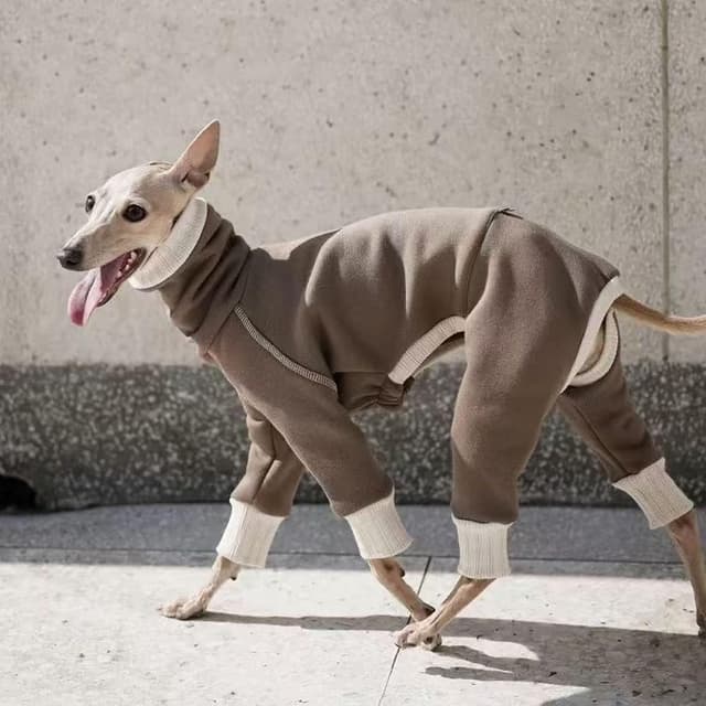 Detalle 1 de Greyhound Winter Warm Dog Onesie 2XL Brown