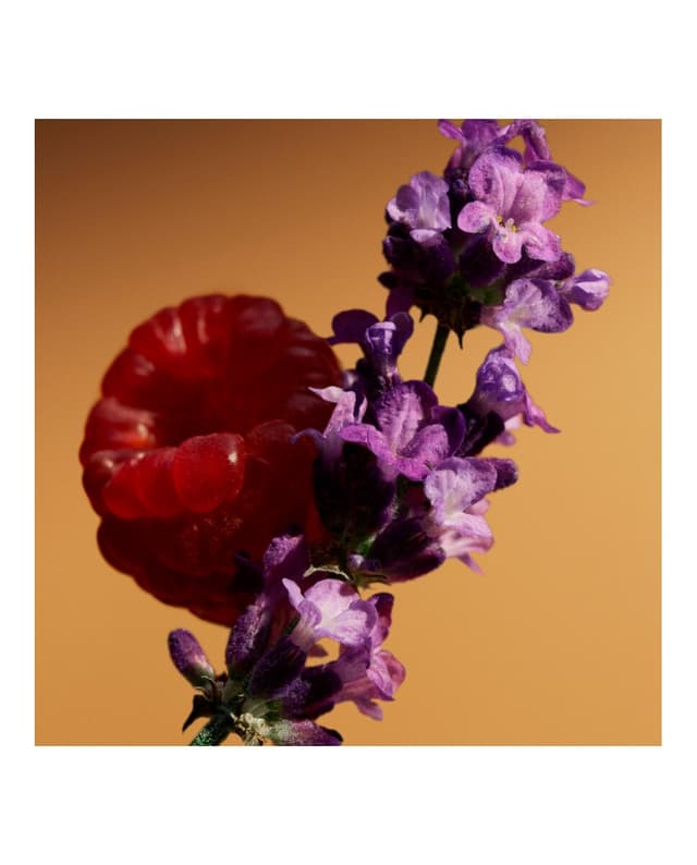 Thumbnail 4 de Burberry Goddess perfume 50 ml Parfum Burberry