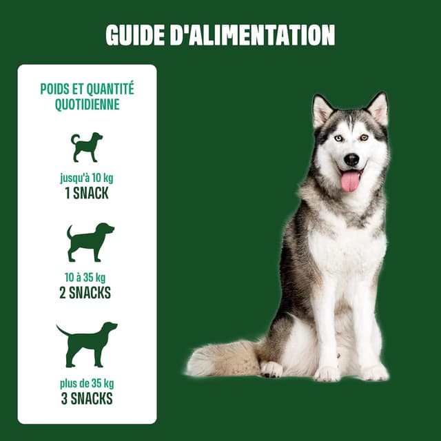 Thumbnail 6 de ivvi Dental Care Snacks d’hygiène dentaire pour chiens – Menthe, Persil, Fenouil, Camomille, huile de coco et algues brunes (60 snacks)