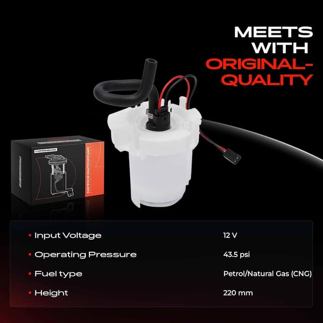 Detalle 2 de Frankberg Astra G Fuel Pump 12V