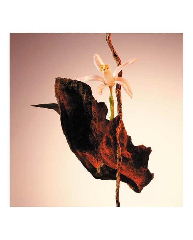 Thumbnail 3 de Hugo Boss The Scent Parfum perfume 50 ml