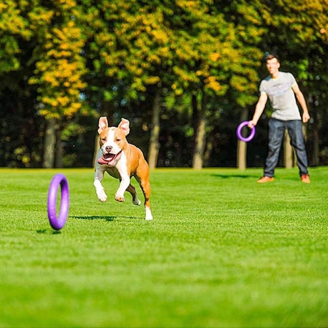 Thumbnail 1 de Ferplast Puller Standard anelli addestramento per cani 2 pezzi