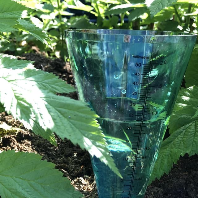 Detalle 1 de Bosmere Tildenet Rain Gauge (T22) – mm and inch rainfall measurement