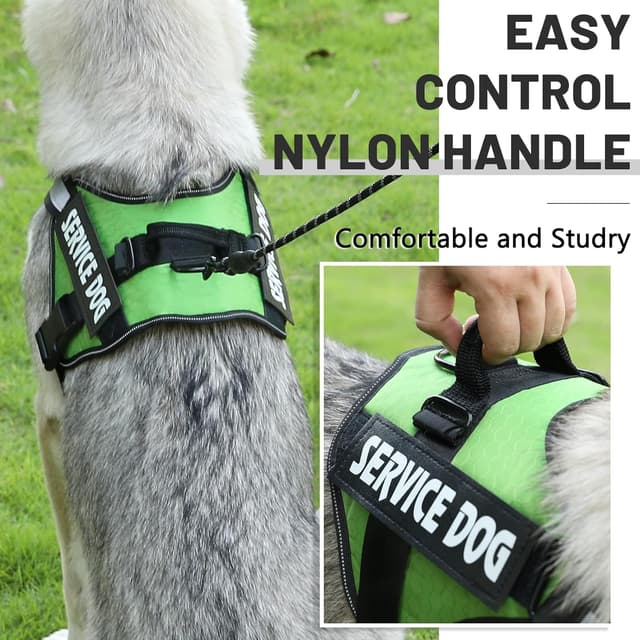 Detalle de Belababy Soft No Pull Dog Harness Small (Green) — adjustable assistance service dog vest with reflective outdoor training