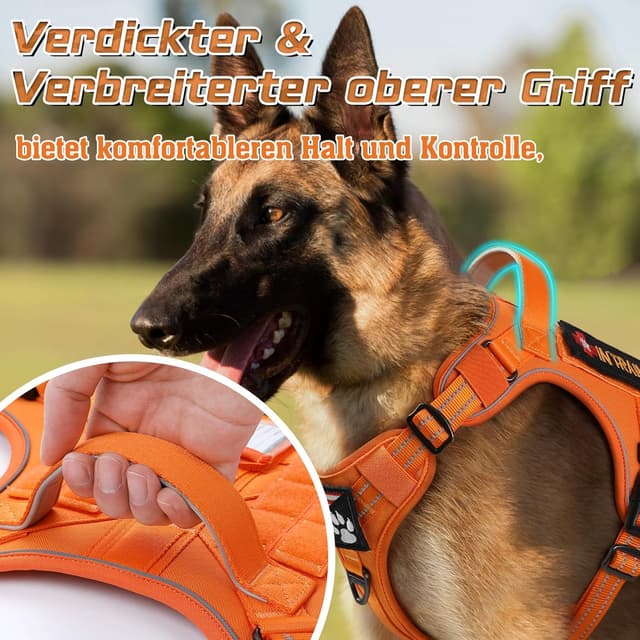 Thumbnail 6 de rabbitgoo Hundegeschirr M (mittelgroße bis große Hunde) verstellbar, Anti-Zug, mit Metallschnallen und Tragegriff – Orange
