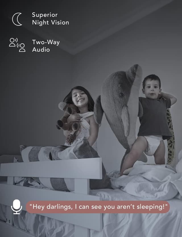 Thumbnail 4 de nooie Telecamera 360 1080P con Alexa