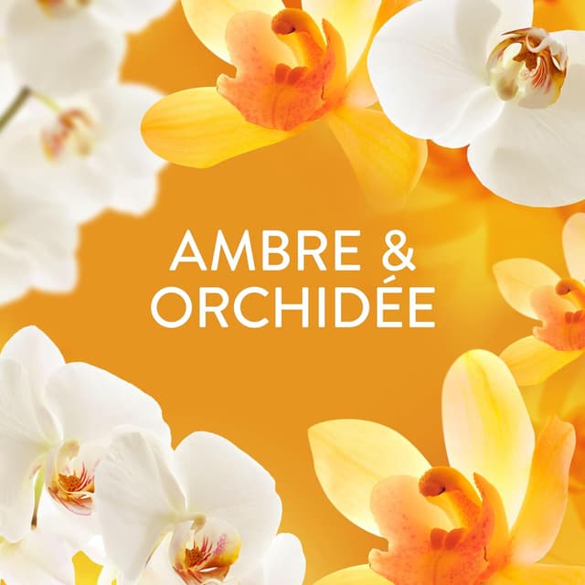 Thumbnail 2 de Lenor Parfum de linge perles 495 g — 41 lavages