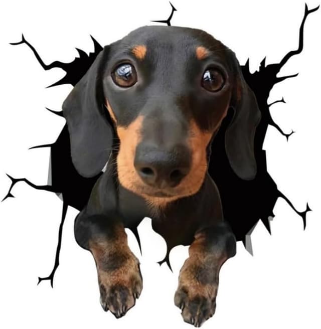 Imagen de Dackel 3D Zerrissener Effekt Aufkleber 25 cm en OfertitasTOP