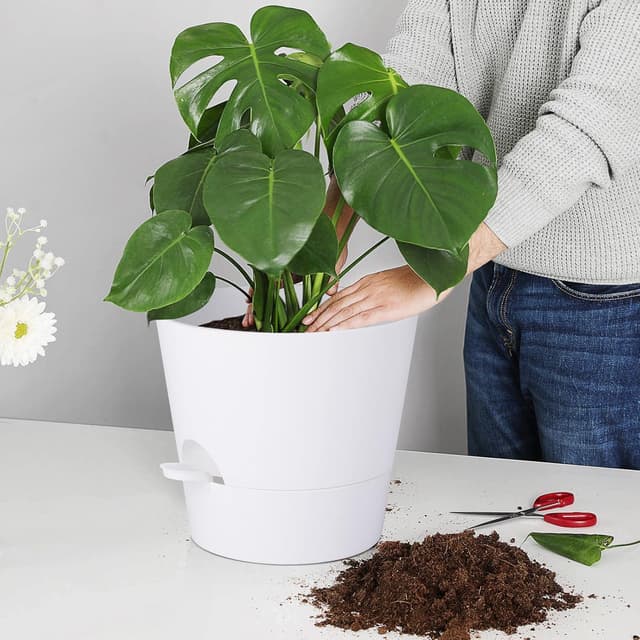 Thumbnail 6 de Idealife 10 Inch Maceta 1700 ml