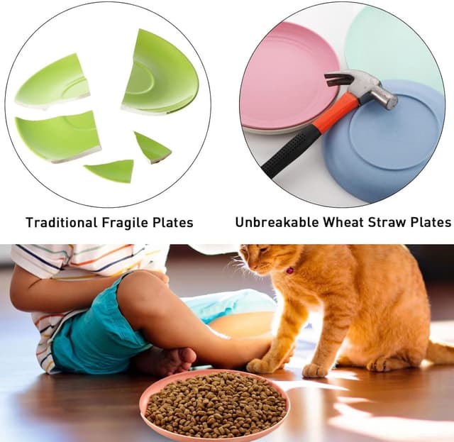 Detalle 2 de Katzennapf 10er Set flach für Kätzchen 🐾