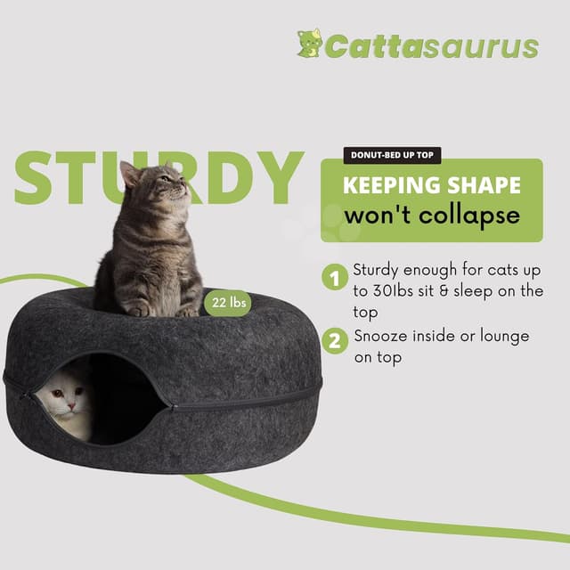 Thumbnail 4 de CATTASAURUS Peekaboo Cat Cave Large for 30–45 lbs 🐱