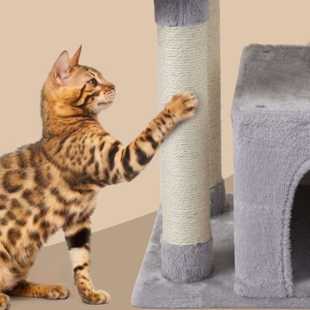 Detalle 2 de FISH&NAP Cute Cat Tree Kitten Tower with Sisal Scratching Posts and Jump Platform (Indoor Cat Condo, Grey)