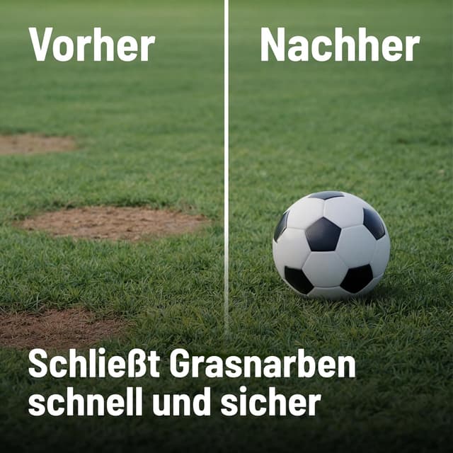 Thumbnail 3 de Substral Rasensamen Sport und Spiel 2 kg