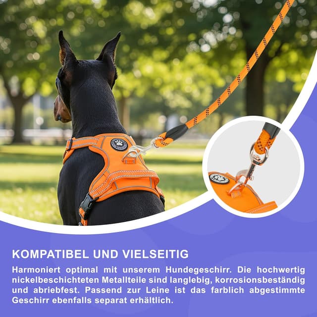 Detalle de Reichstadt Pets Guinzaglio per cani in nylon morbido con impugnatura in EVA e riflettente 1,5 m