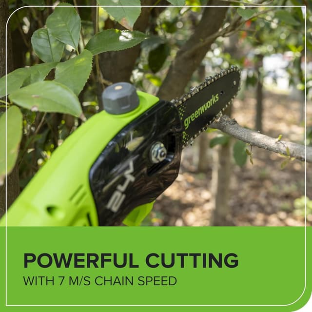 Detalle 2 de Greenworks Potatore 24V 2,68 m