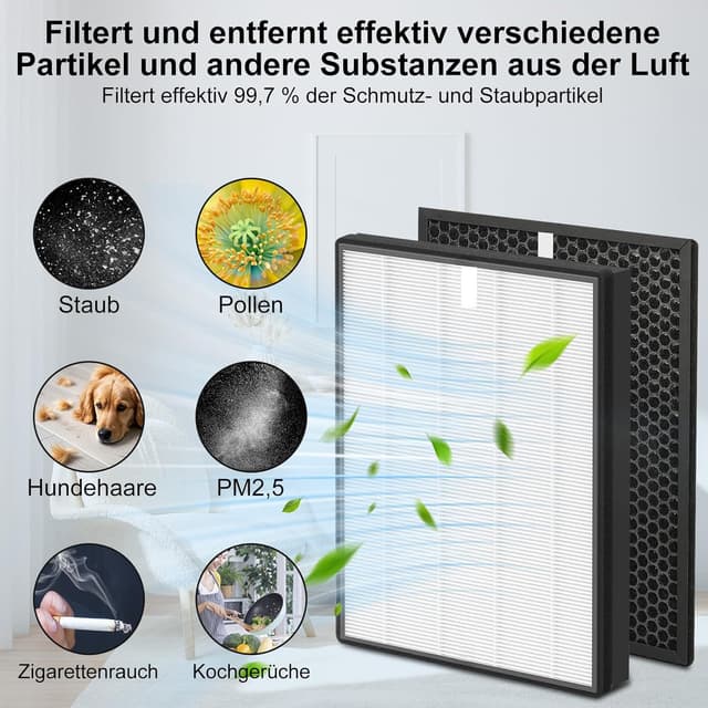 Detalle 2 de Fishoney FY2420/30 HEPA Filter 0,3 µm