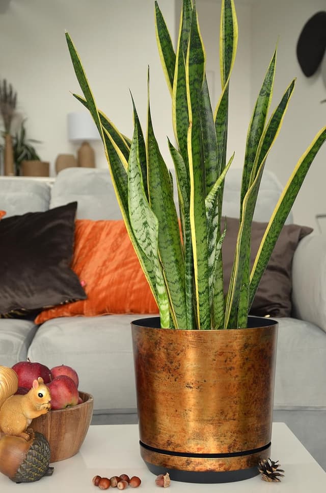 Thumbnail 1 de KERD Set Blumentöpfe 18 cm Rost