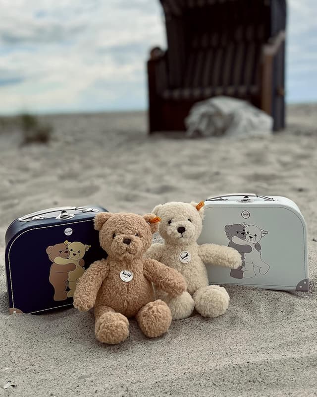 Detalle 2 de Steiff Ben 21cm beige teddy bear in suitcase (Steiff 114021)